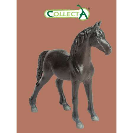Фигурка Collecta Жеребёнок Фризской лошади