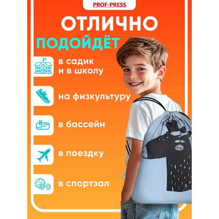 Мешок для обуви Prof-Press