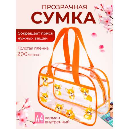 Сумка прозрачная DARIKAGROUP для бассейна