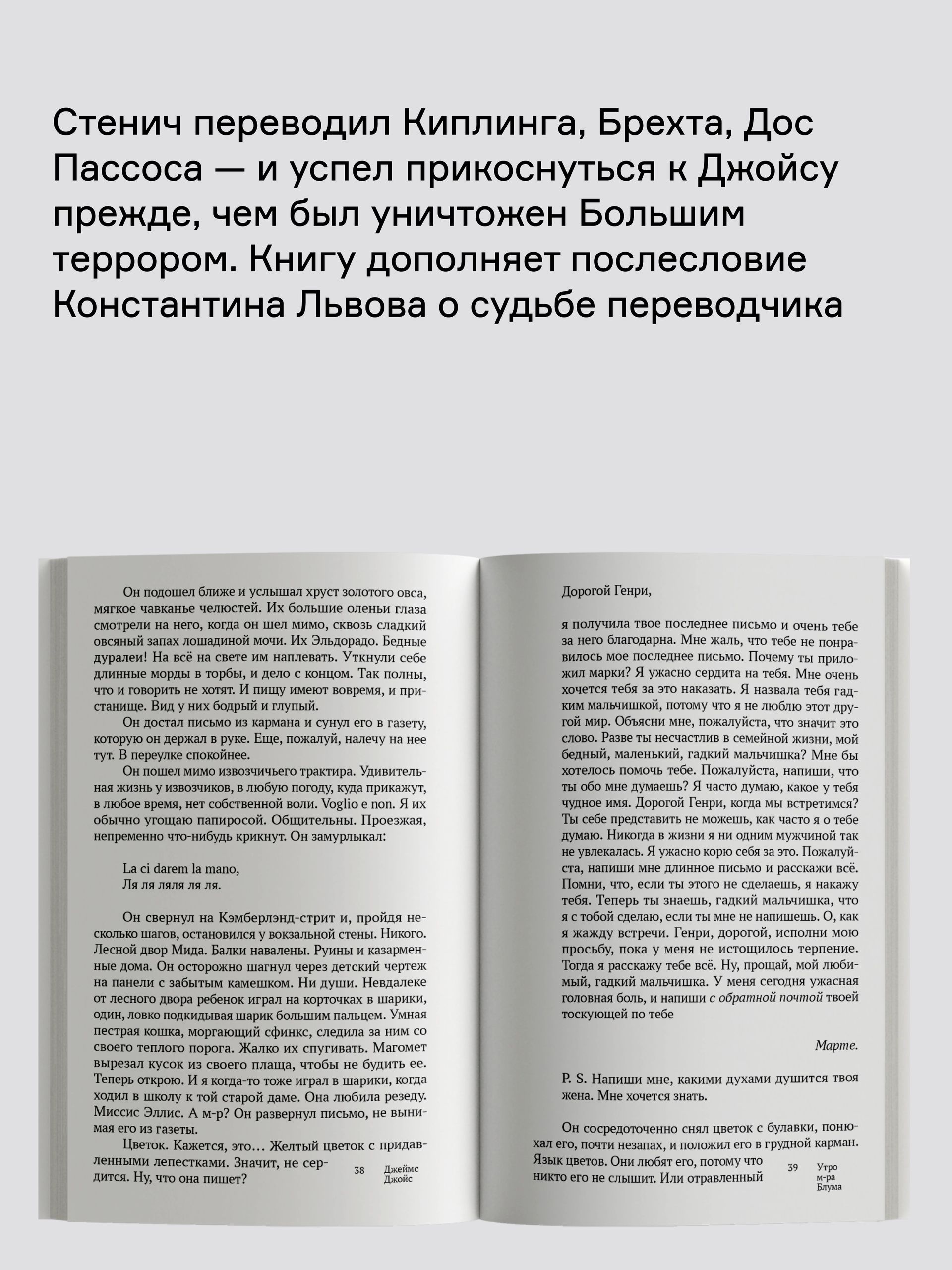 Книга Ad Marginem Похороны Патрика Дигнэма - фото 5