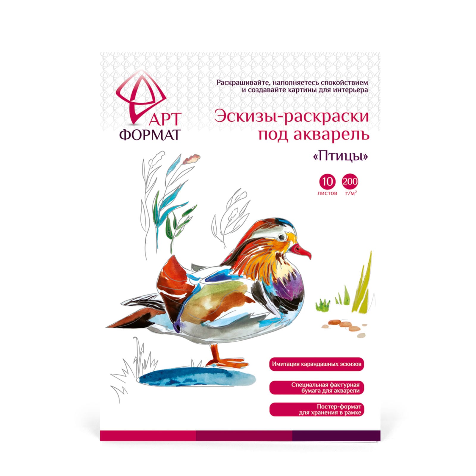 Раскраска-эскиз АРТформат Птицы 10 листов А4 акварельная бумага 200 грамм в папке - фото 5