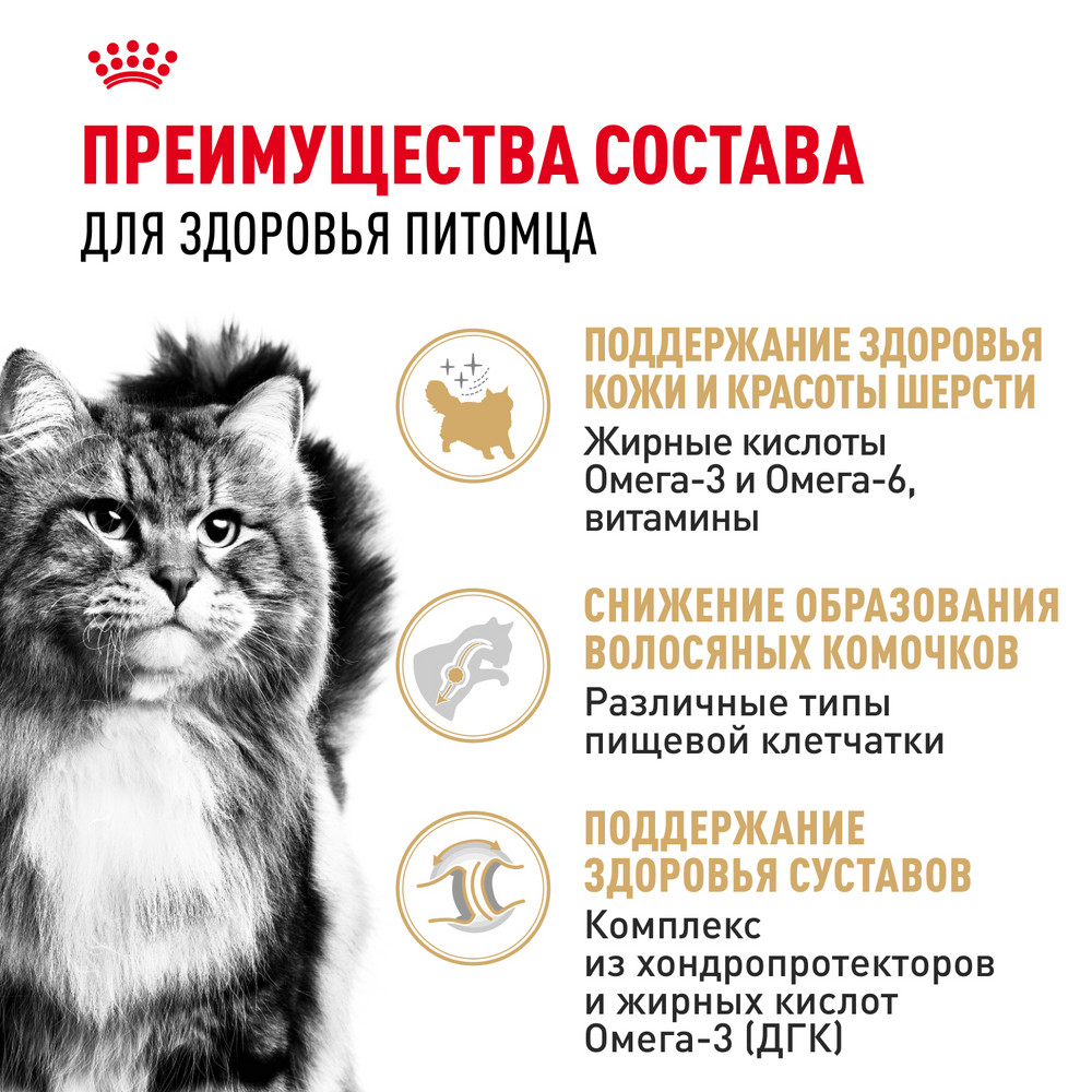 Корм сухой для кошек ROYAL CANIN Siberian 2кг сибирских пород - фото 4