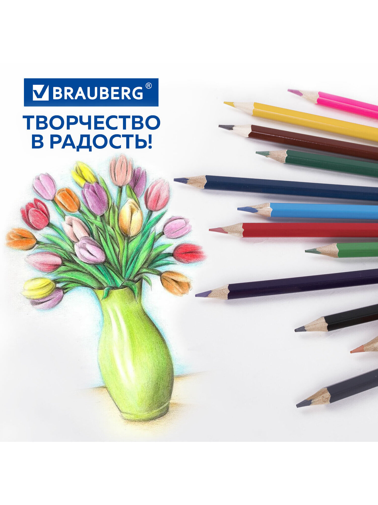 Карандаши цветные Brauberg 12 шт. - фото 6