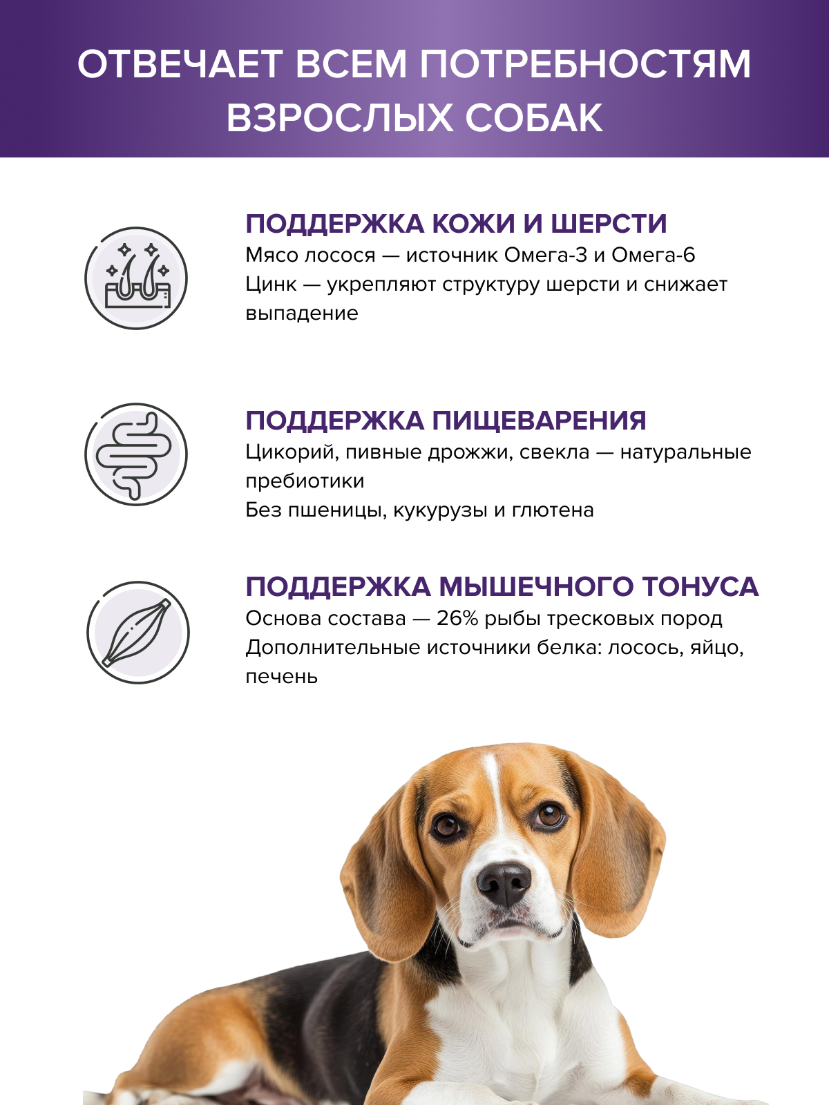 Корм для взрослых собак DOCTRINE сухой средних и крупных пород с белой рыбой и рисом 3 кг - фото 2