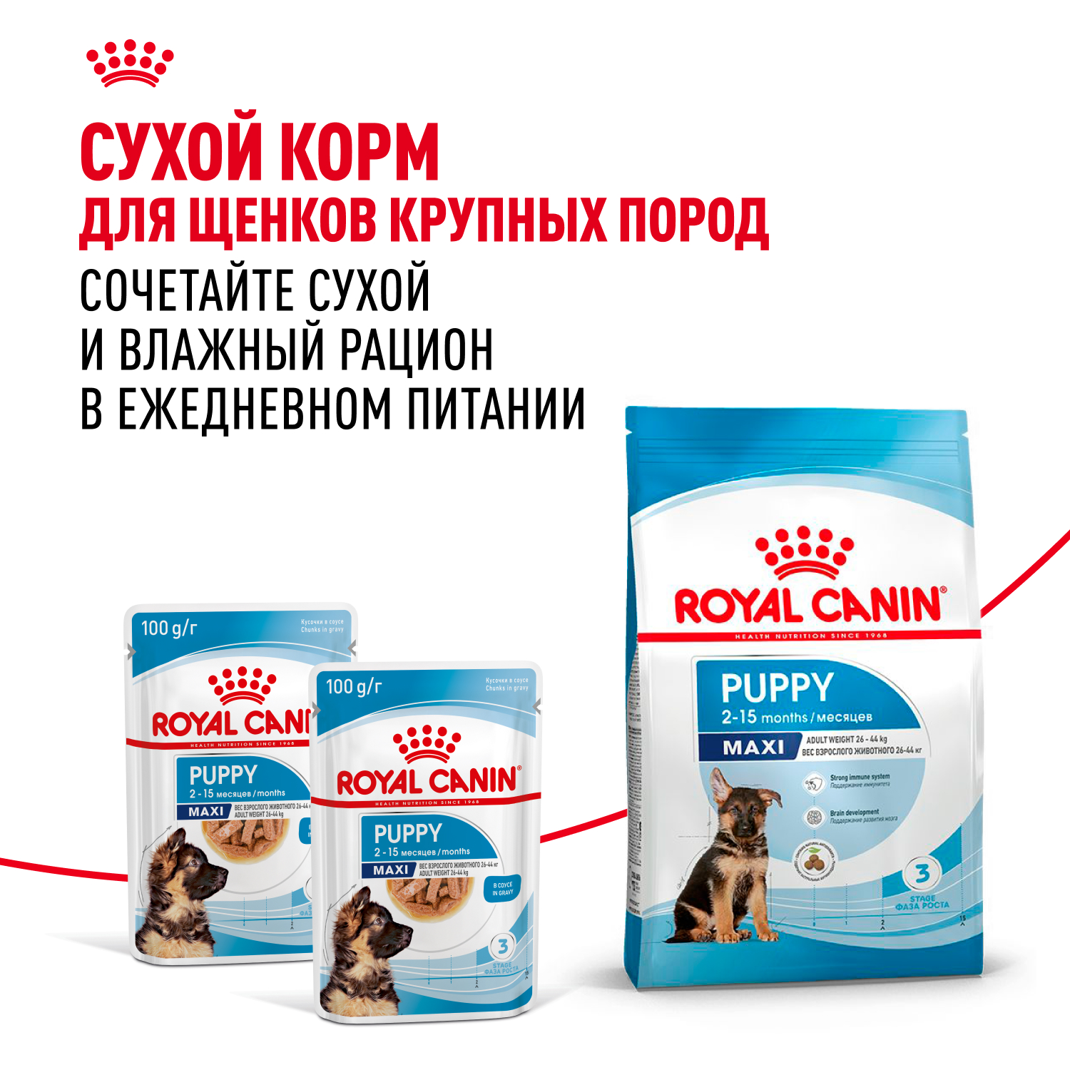 Корм для щенков влажный ROYAL CANIN Maxi Puppy для крупных пород в возрасте до 15 месяцев соус 100г - фото 8