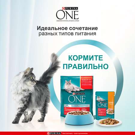 Корм для кошек Purina One при стерилизации и кастрации лосось-пшеница 200г