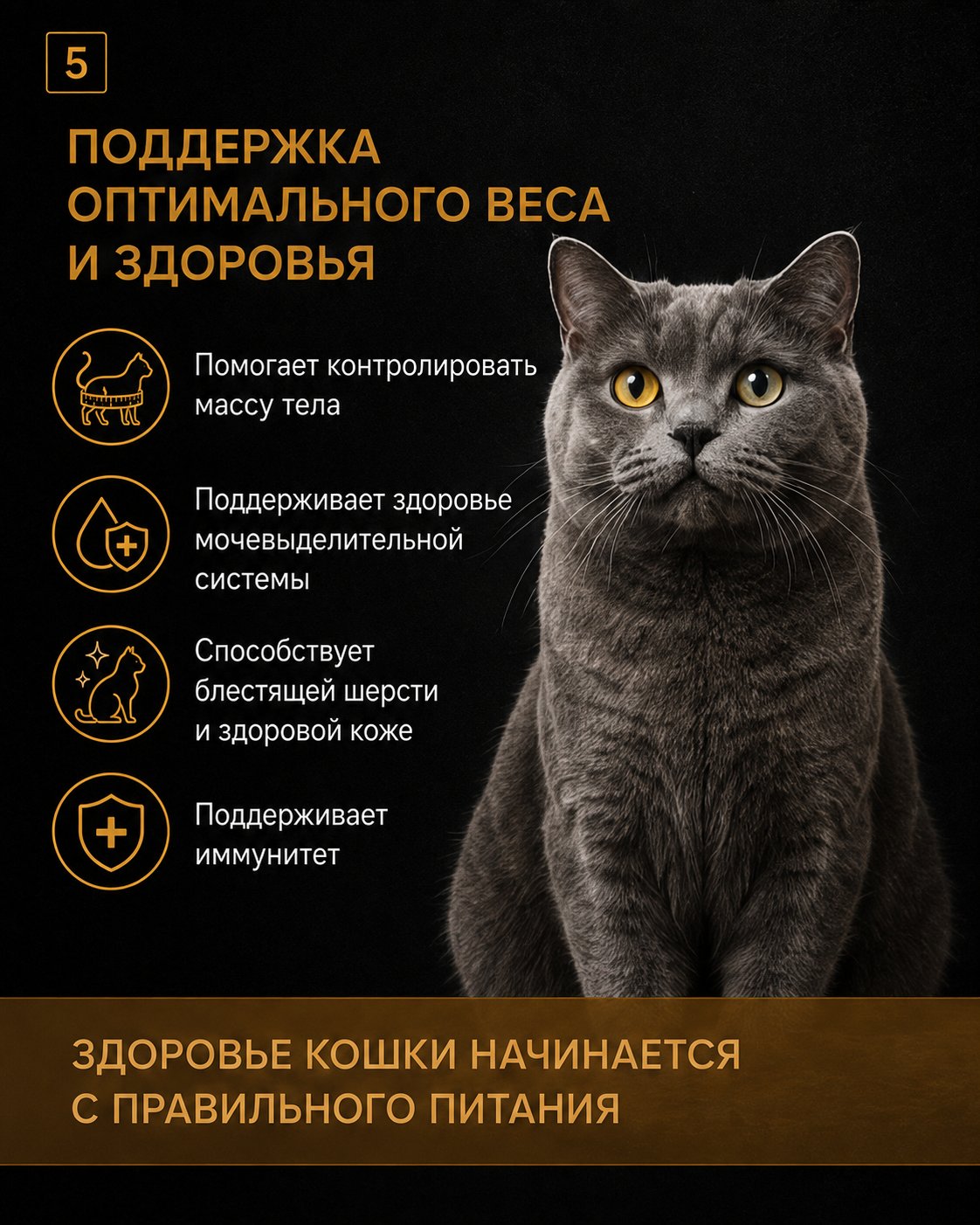 Корм для кошек RoxFox сухой полнорационный для стерилизованных кошек с курицей 1,5 кг - фото 5