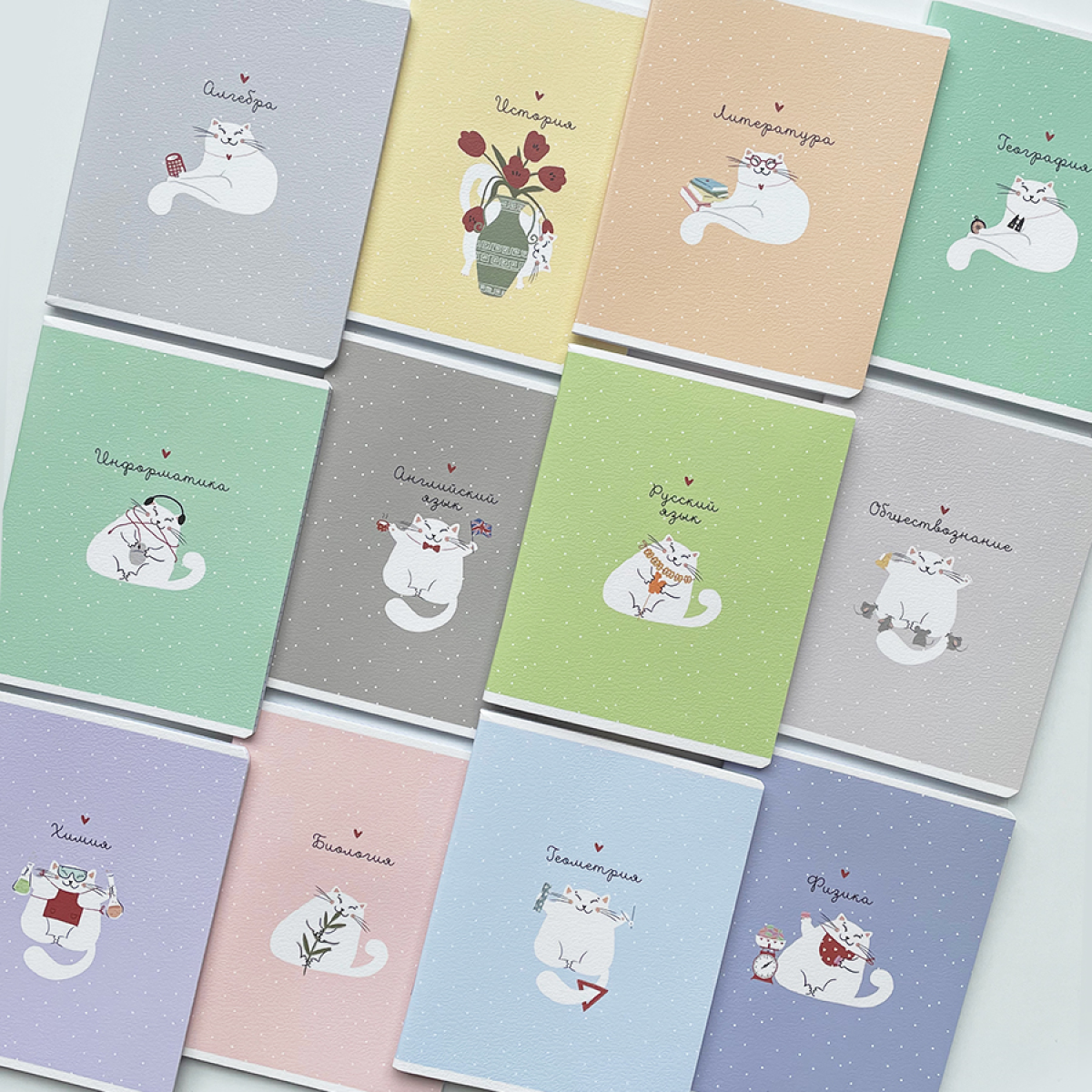 Тетрадь Be Smart 48 лист. 12 шт. - фото 2