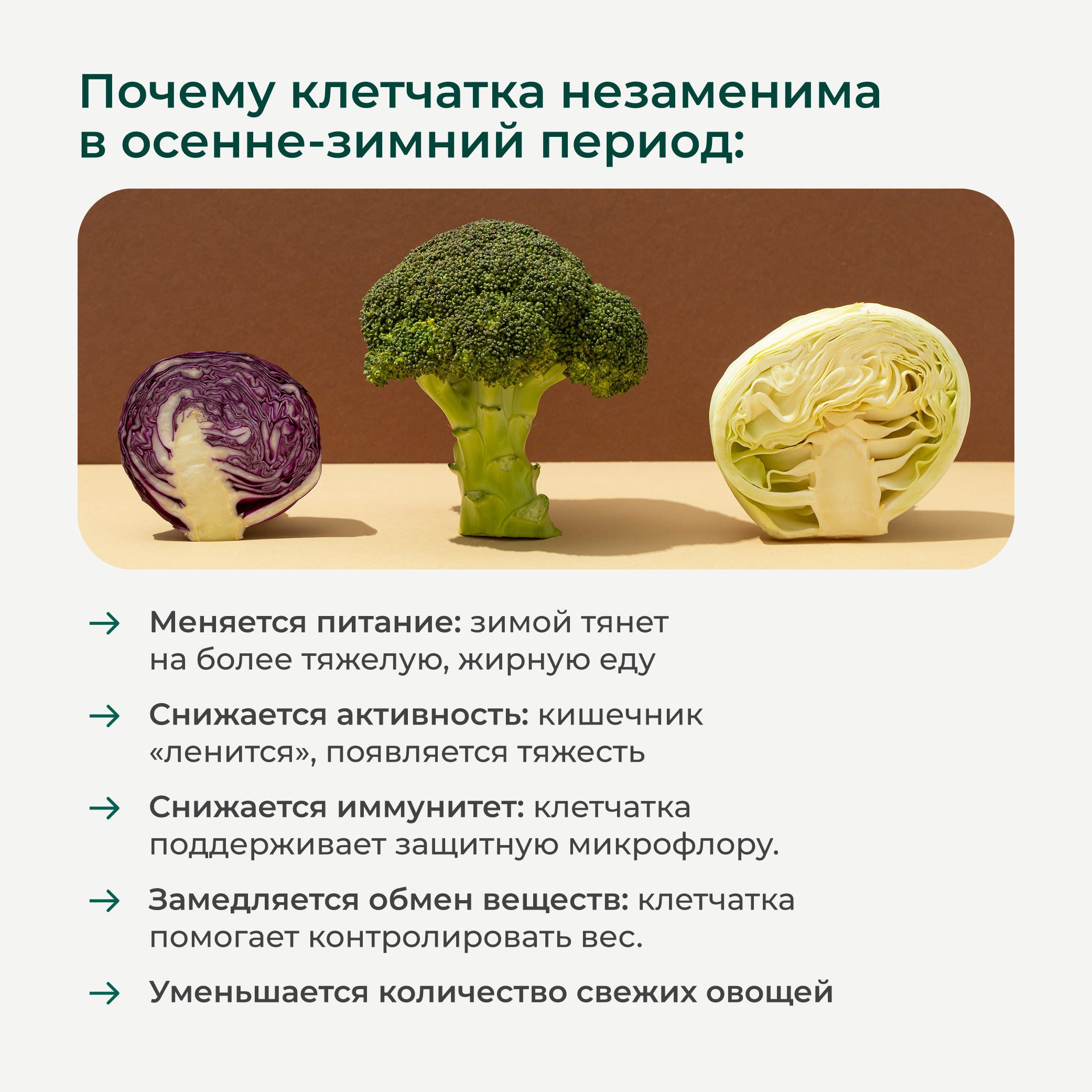 Клетчатка F3 LeafToGo для похудения - фото 2