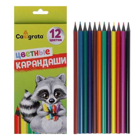 Карандаши цветные Calligrata 12 шт.