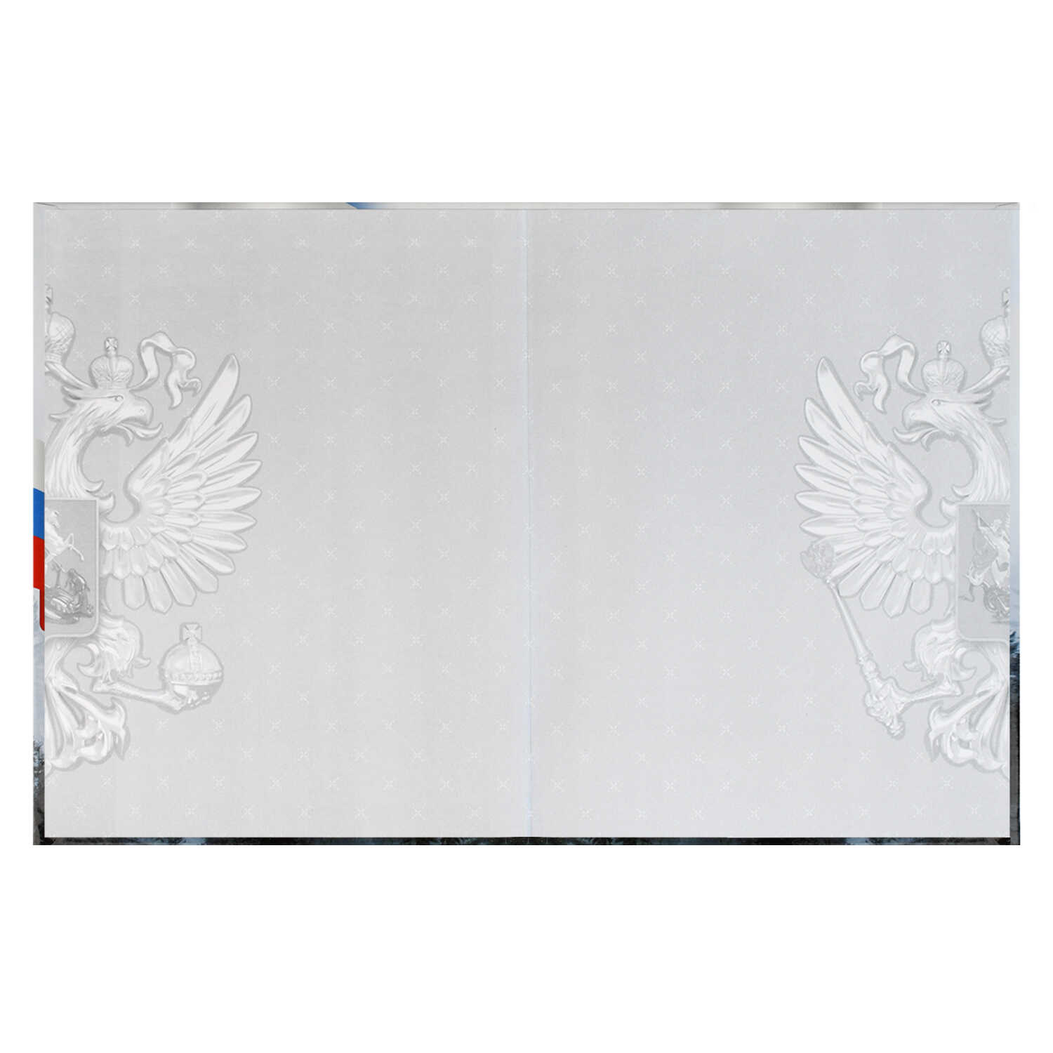 Дневник Феникс + Символика А5+ 7БЦ 48л 69754 - фото 3