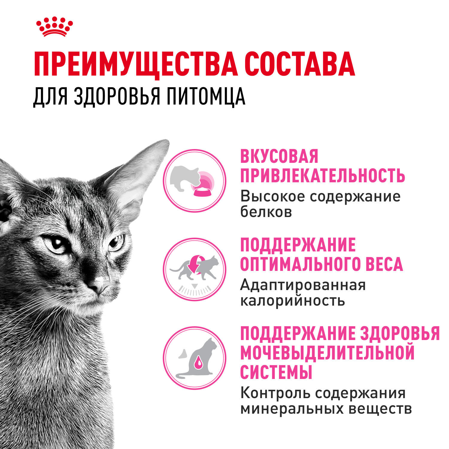Корм сухой для кошек ROYAL CANIN Exigent Protein 2кг привередливых к составу продукта - фото 3