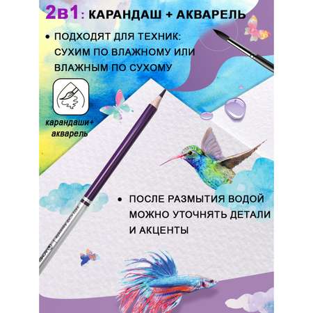 Карандаши акварельные ACMELIAE 25 шт.