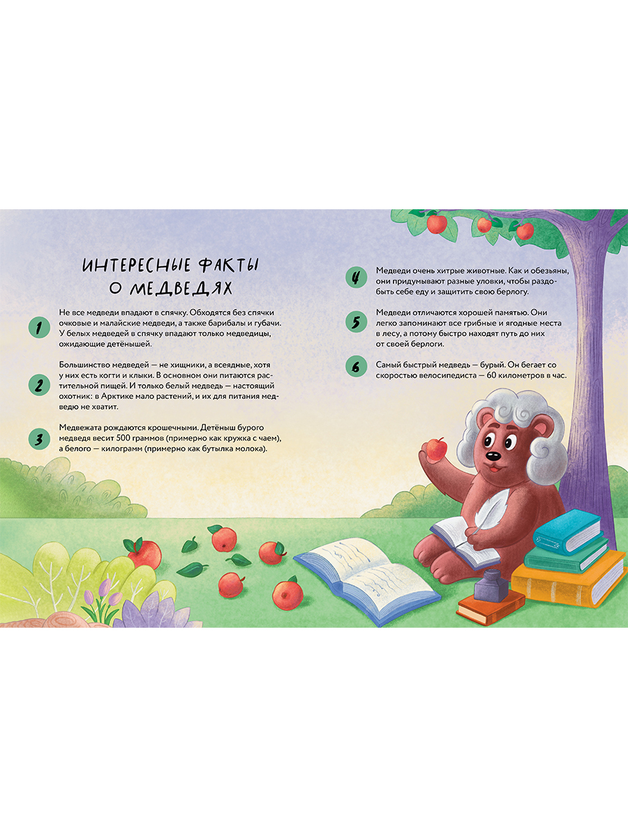 Книга Альпина. Дети Косолапые медведи - фото 5