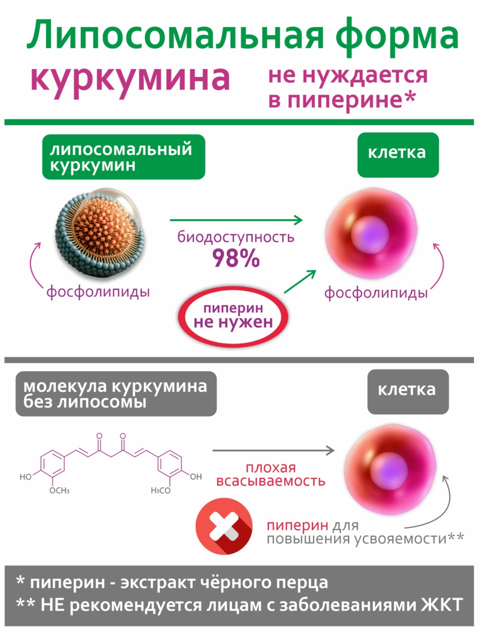 Концетраты пищевые Алтайские традиции Липосомальный куркумин Для сердца с ликопином веган 60 капсул - фото 5
