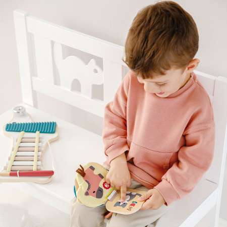 Игрушка Hape книжка