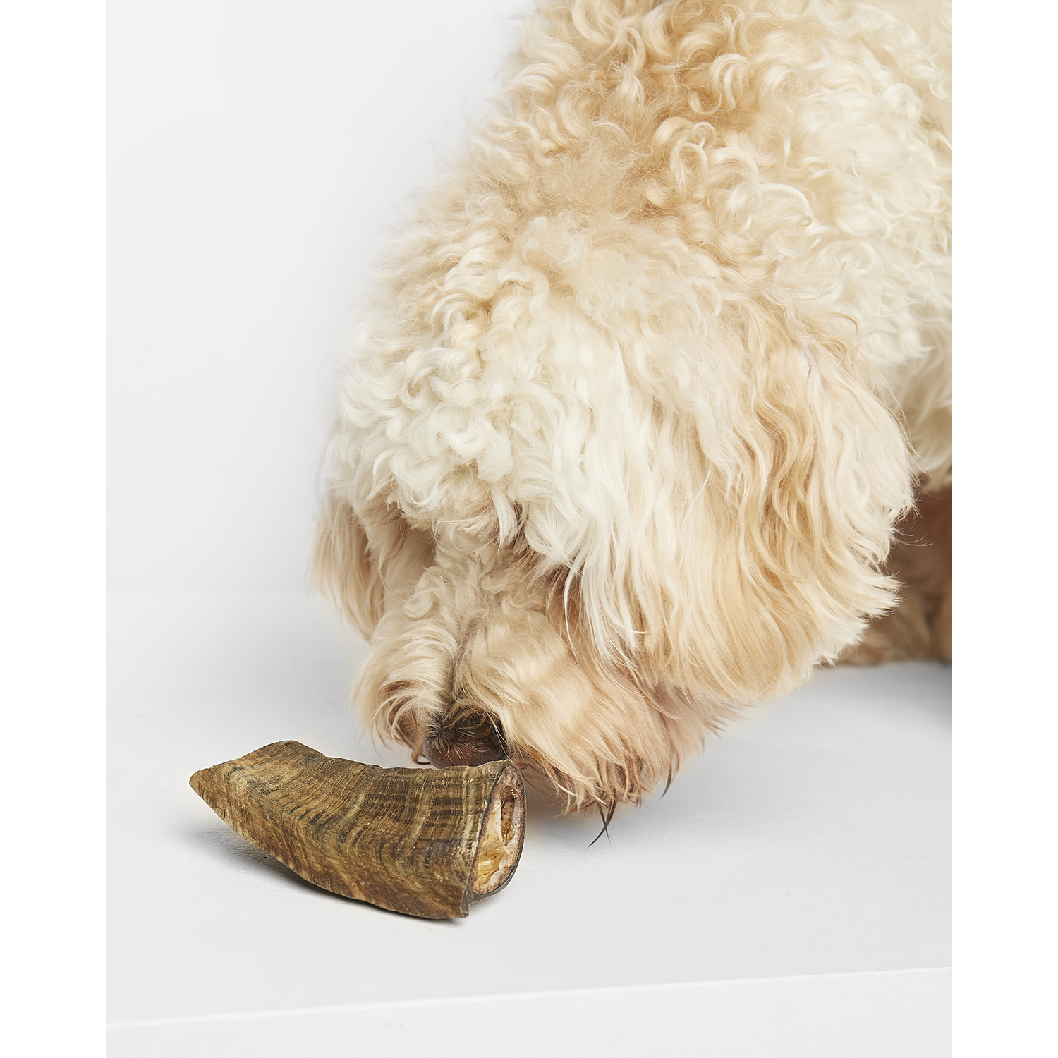 Лакомство для собак LIGHT BITES Козий рог 90-130г LB0032 - фото 3