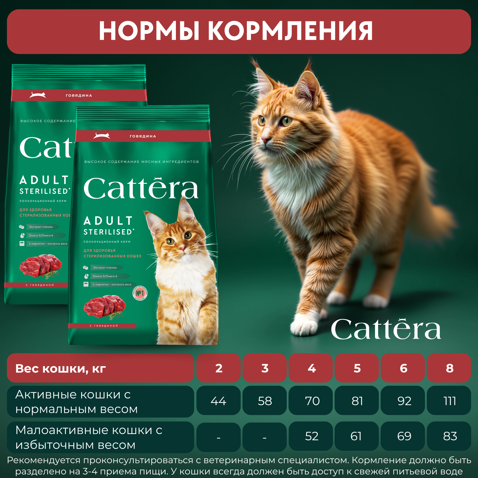 Корм сухой для кошек Cattera полнорационный для взрослых стерилизованных кошек с говядиной 0,7кг - фото 8