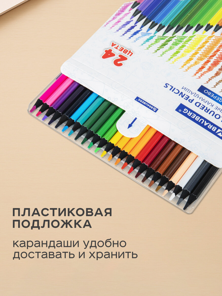 Карандаши цветные Brauberg 24 шт. - фото 6
