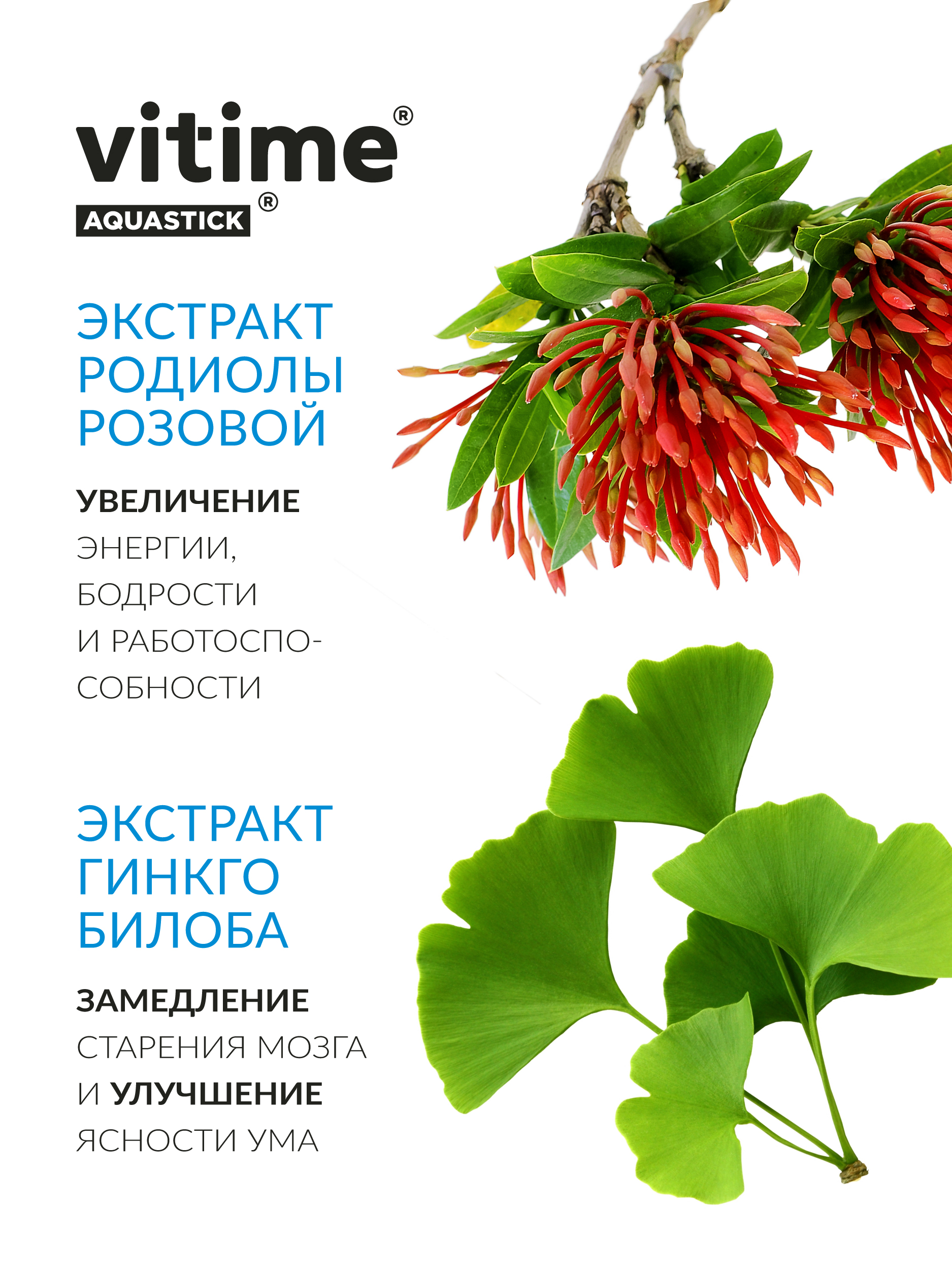 Аквастик Мемори сироп в стиках Vitime Для активной работы мозга для памяти15 стиков - фото 7
