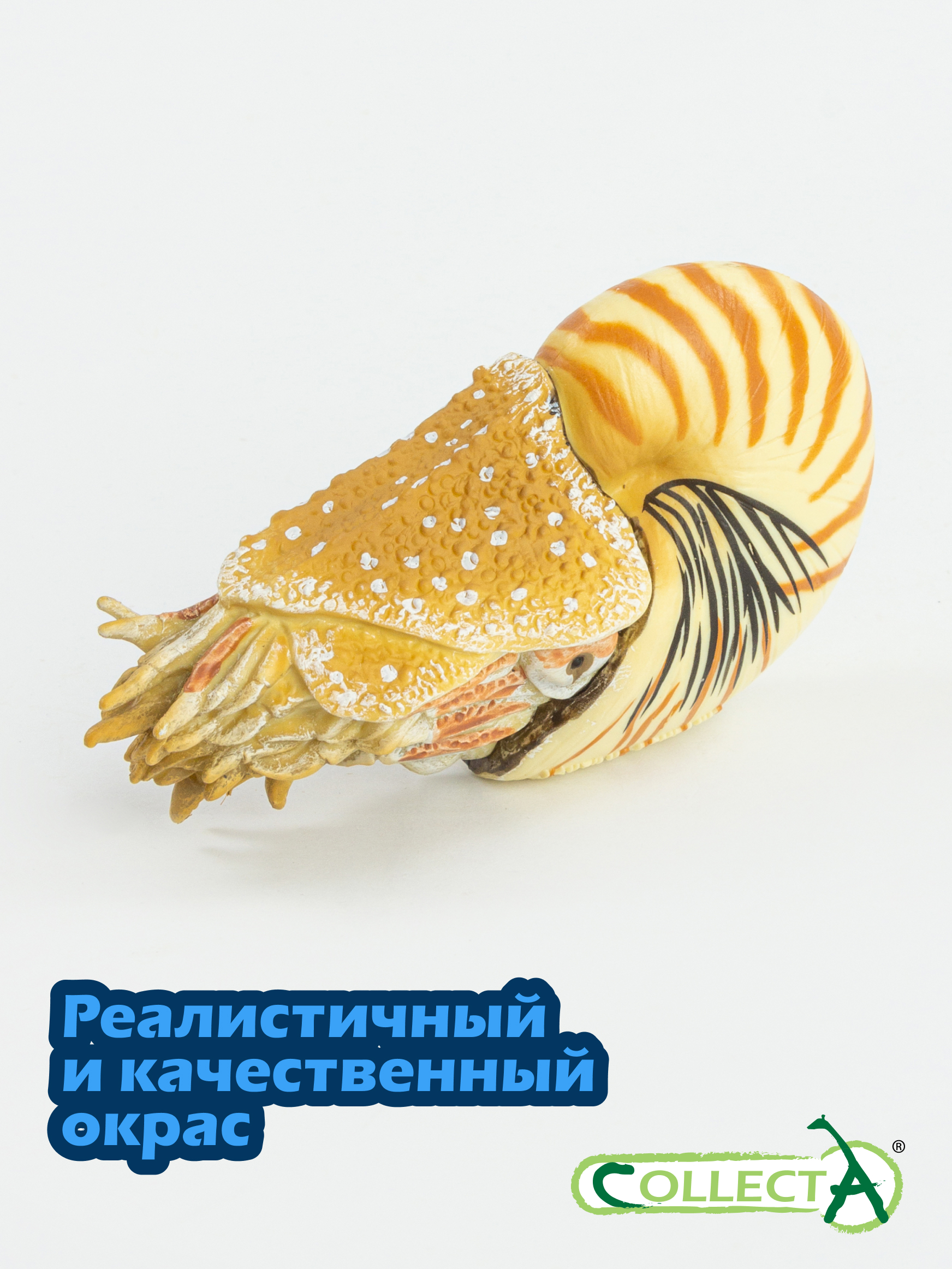 Фигурка Collecta Моллюск Наутилус Помпилиус - фото 4