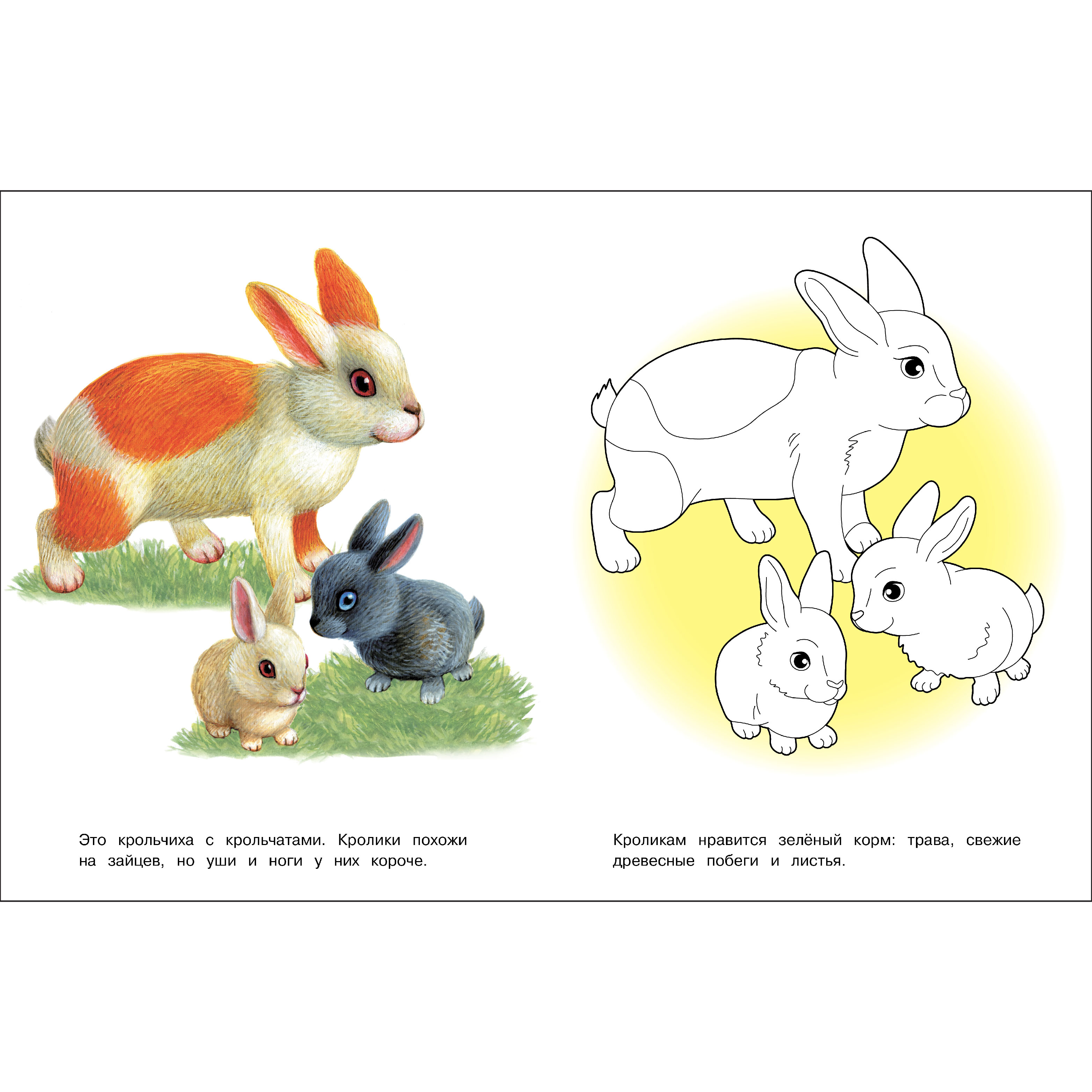 Комплект книг СТРЕКОЗА Раскраски - фото 7