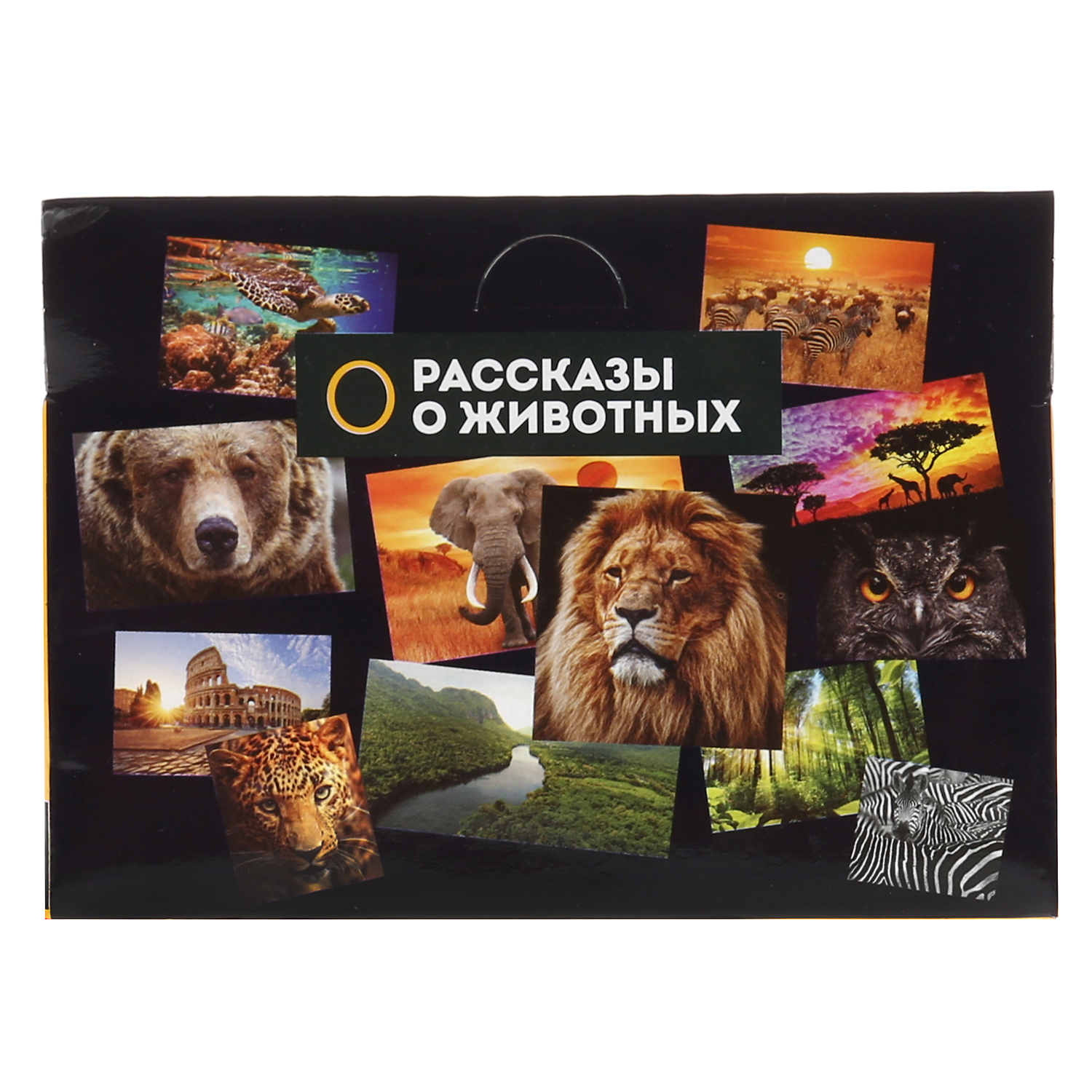 Игрушка Играем вместе Динозавр Трицератопс - фото 5