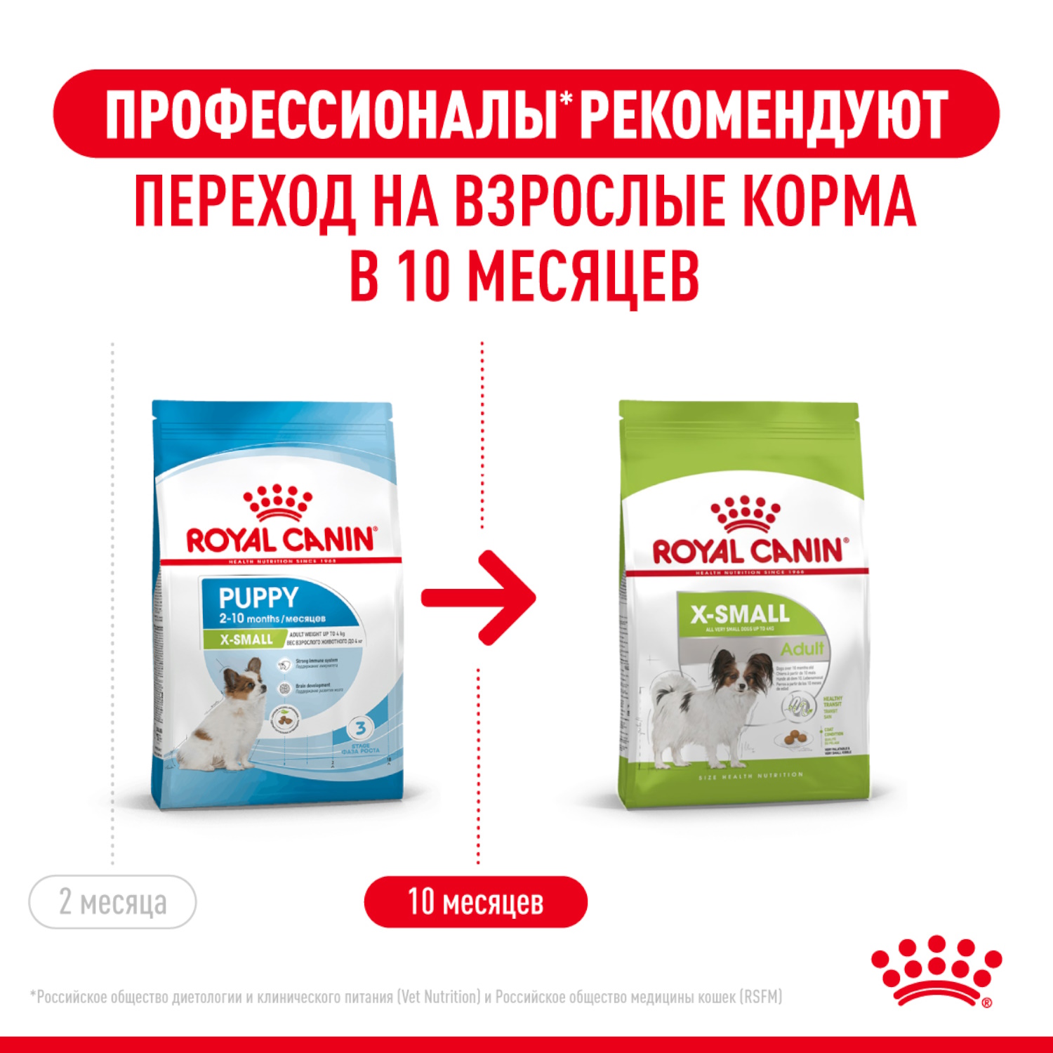 Корм для щенков ROYAL CANIN X-small Puppy миниатюрных пород 500г - фото 9