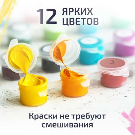 Картина по номерам LORI(колорит) В царстве гномов