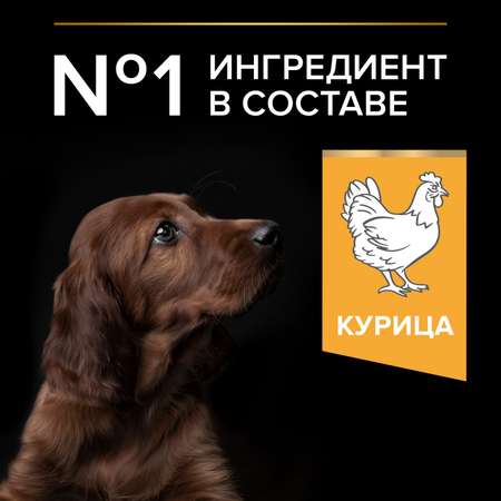 Корм для щенков PRO PLAN для крупных пород с атлетическим телосложением с комплексом Optistart курица с рисом 12кг