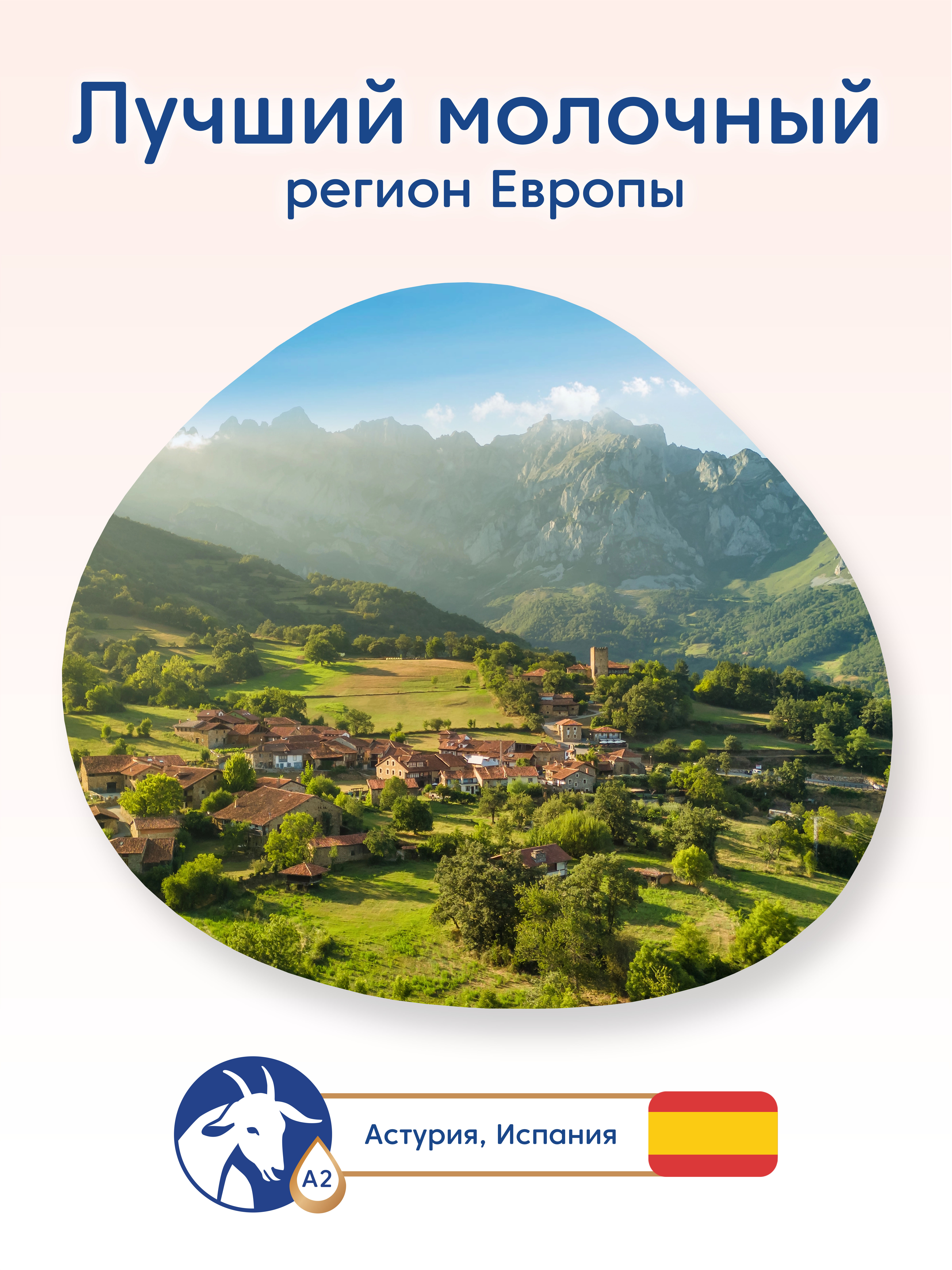 Смесь Мамако 3 Premium на козьем молоке 400г с 12месяцев - фото 3