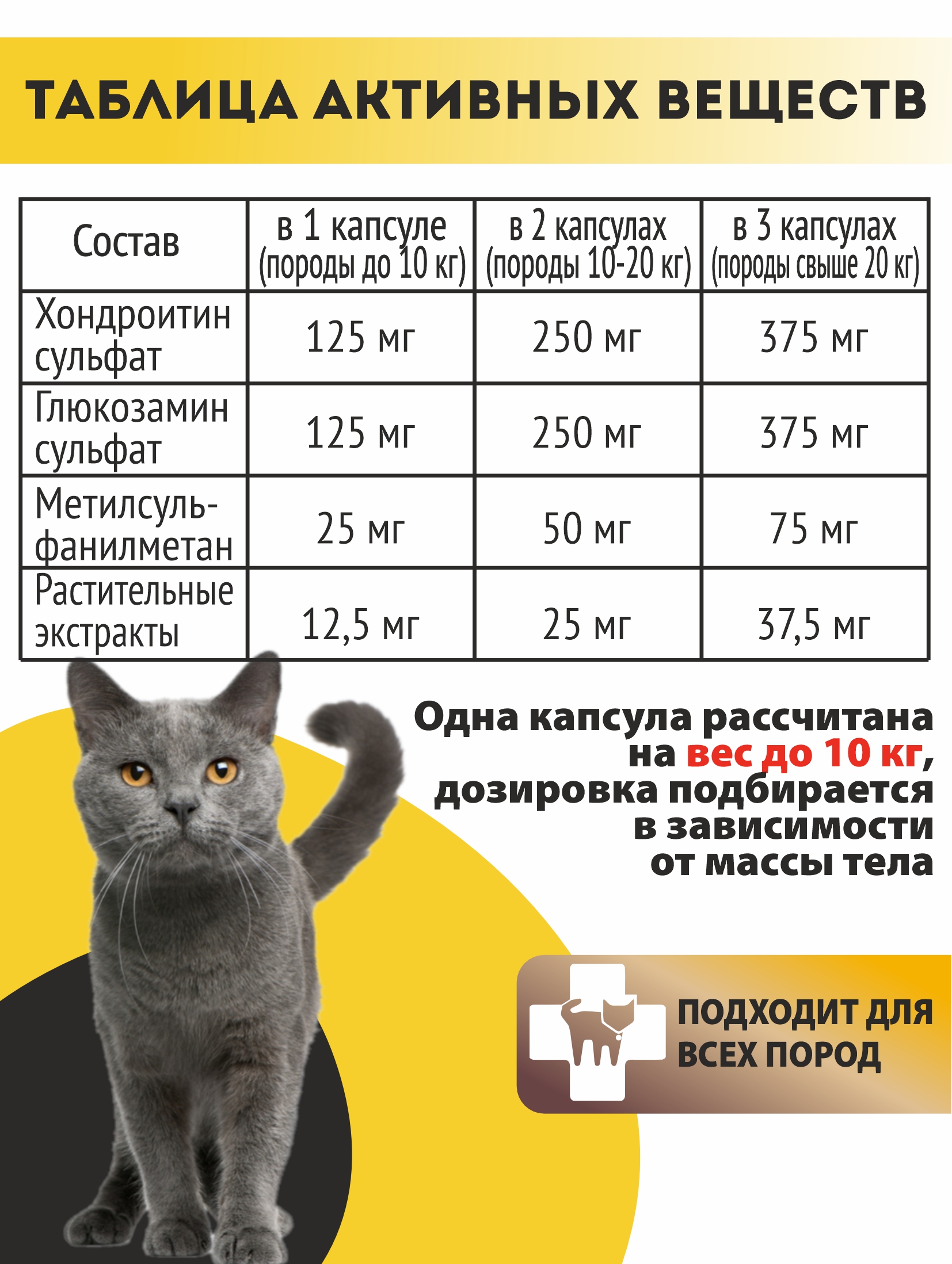 Витаминный комплекс ALTAI ANIMAL для кошек Здоровые суставы крепкие кости - фото 5