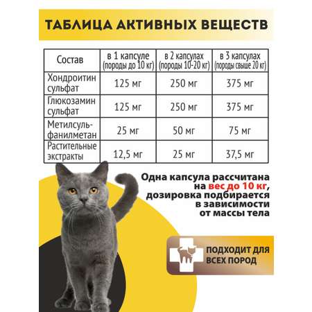 Витаминный комплекс ALTAI ANIMAL для кошек Здоровые суставы крепкие кости
