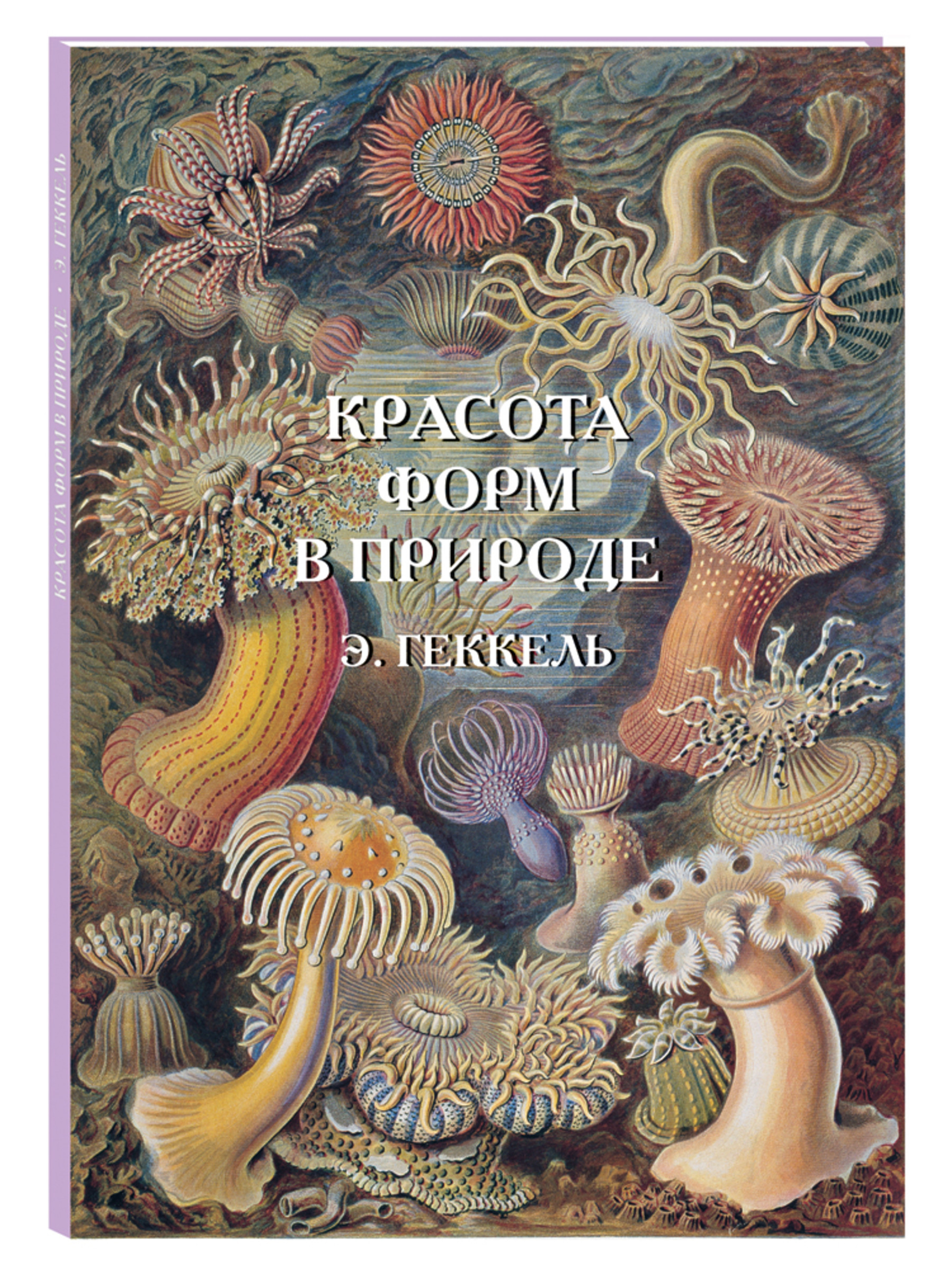 Книга Белый город Красота форм в природе. Э. Геккель (Великие полотна) - фото 1