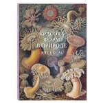 Книга Белый город Красота форм в природе. Э. Геккель (Великие полотна)