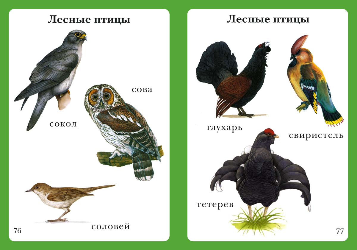 Книга Белый город Моя первая книга - фото 7