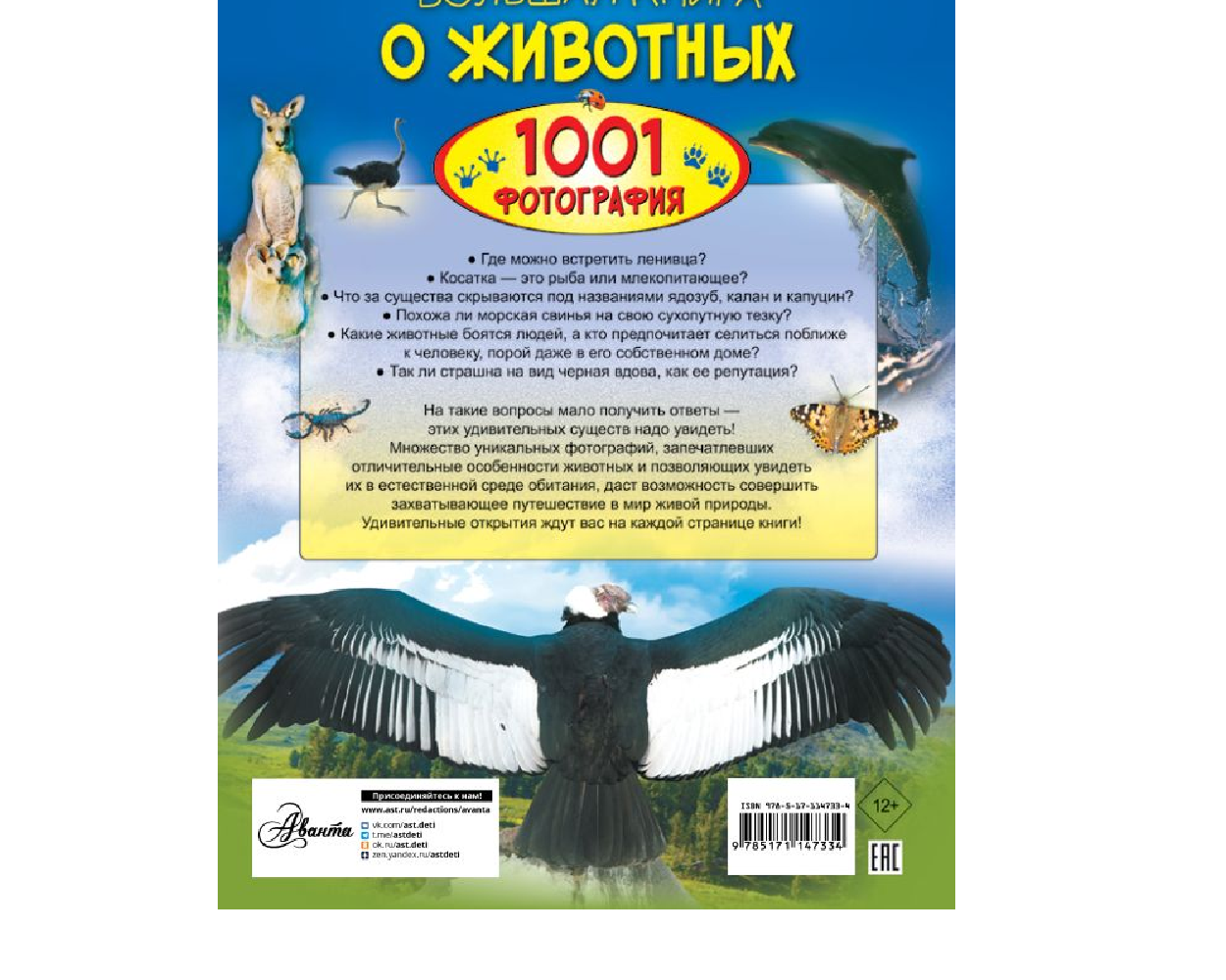 Книга АСТ Большая книга о животных. 1001 фотография - фото 2