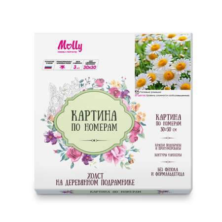 Картина по номерам Molly Полевые ромашки