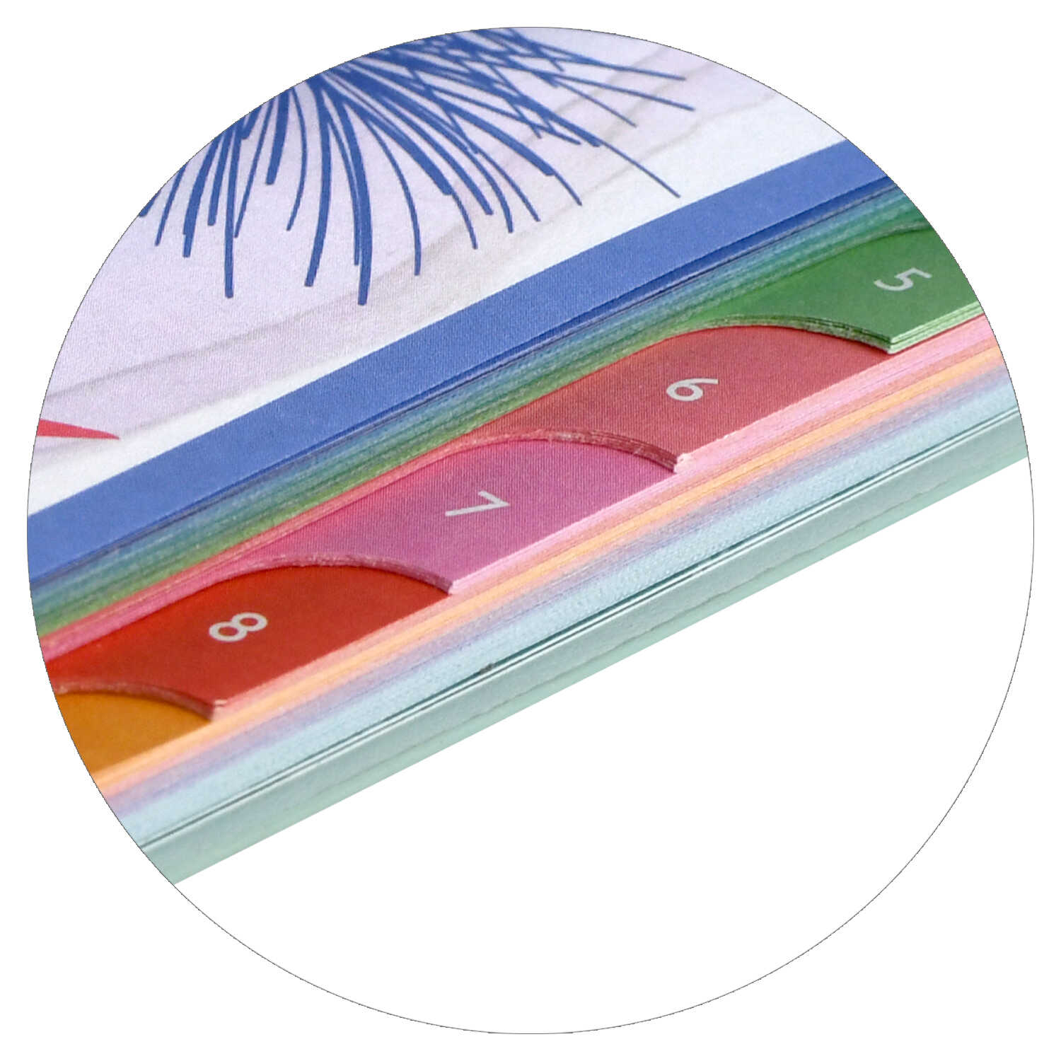 Ежедневник Феникс + ESCALADA 96 лист. - фото 6