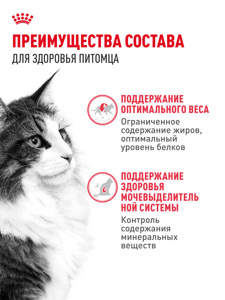 Корм для кошек ROYAL CANIN 85г*10шт Instinctive/Sterilised - фото 3