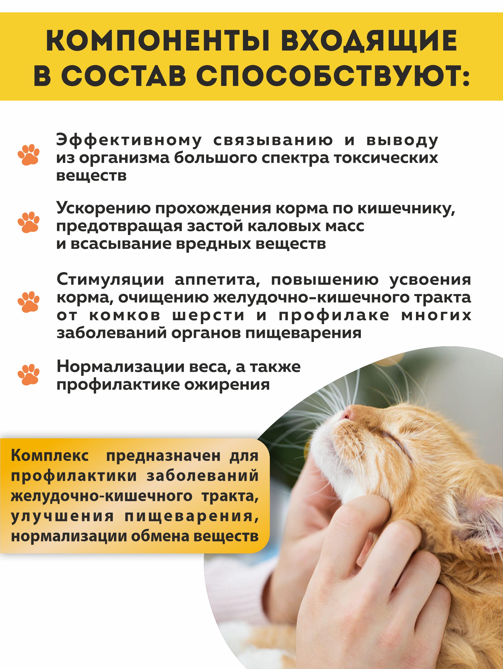 Витаминный комплекс ALTAI ANIMAL для кошек Здоровое пищеварение - фото 3
