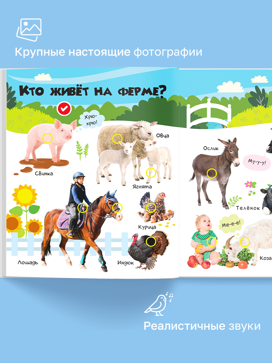 Книга BertToys электронная говорящая интерактивная Нажималка Животные - фото 4