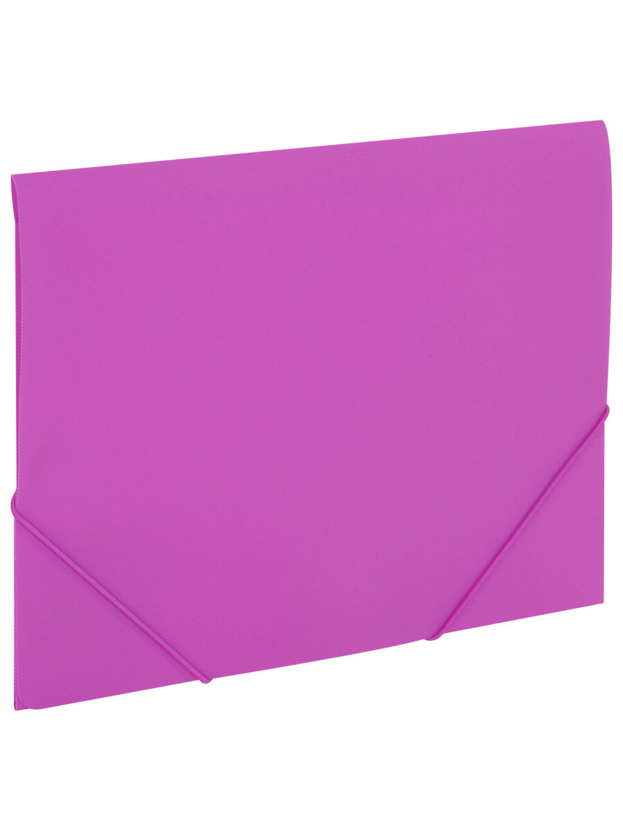 Папка для тетрадей Brauberg на резинках А4 - фото 2