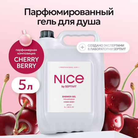 Гель NICE by Septivit Cherry Berry 5000 мл