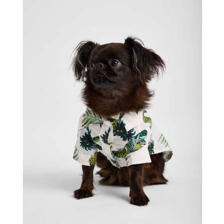 Рубашка для собак и кошек Зоозавр