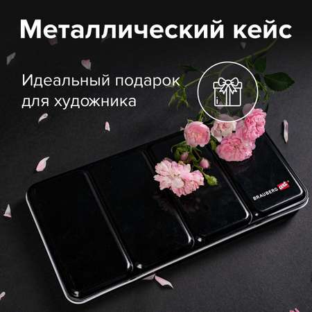 Краски акварель Brauberg