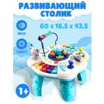 Игрушка Рыжий кот развивающий центр