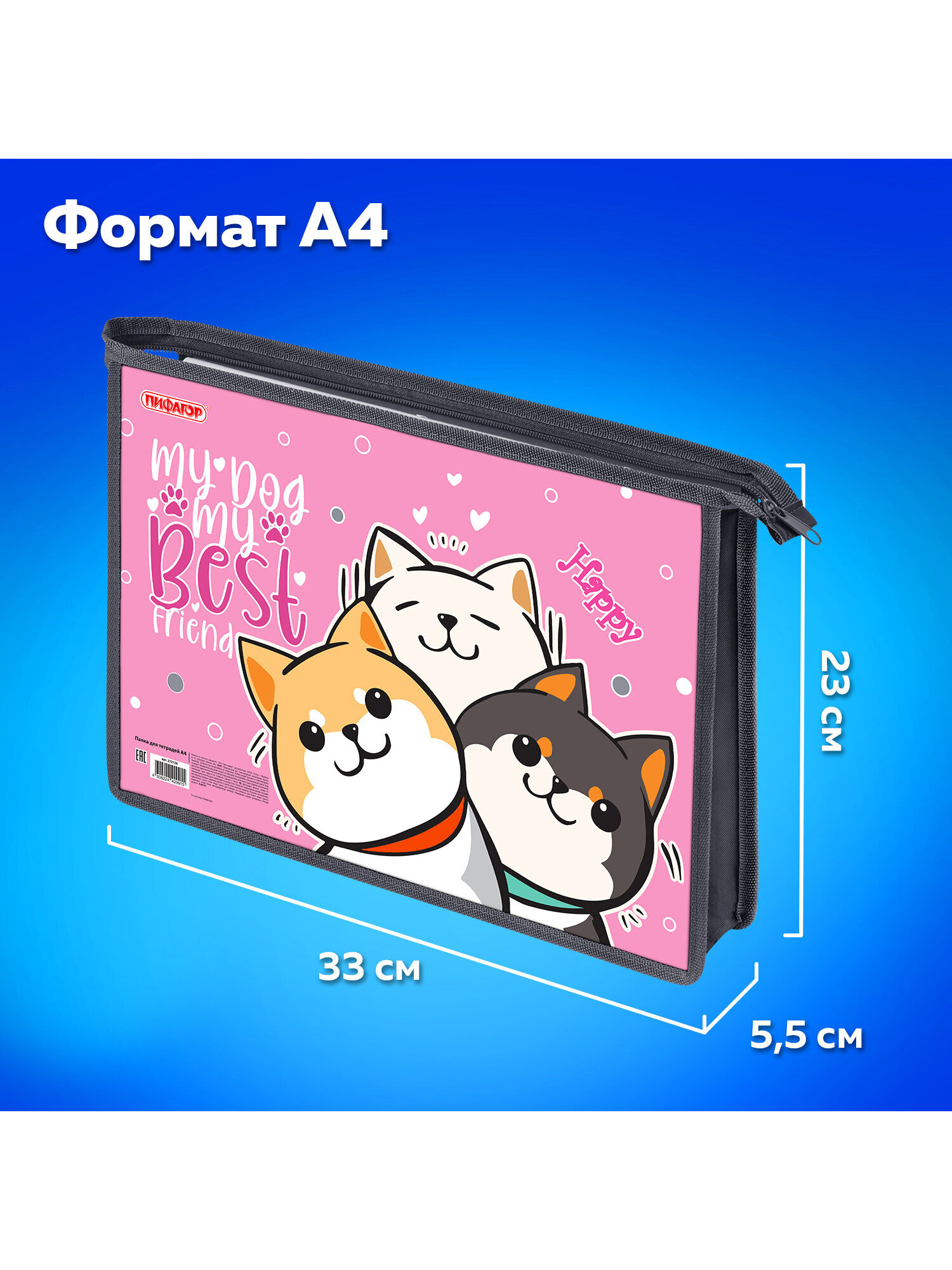 Папка для тетрадей Пифагор лучшая команда А4 - фото 5