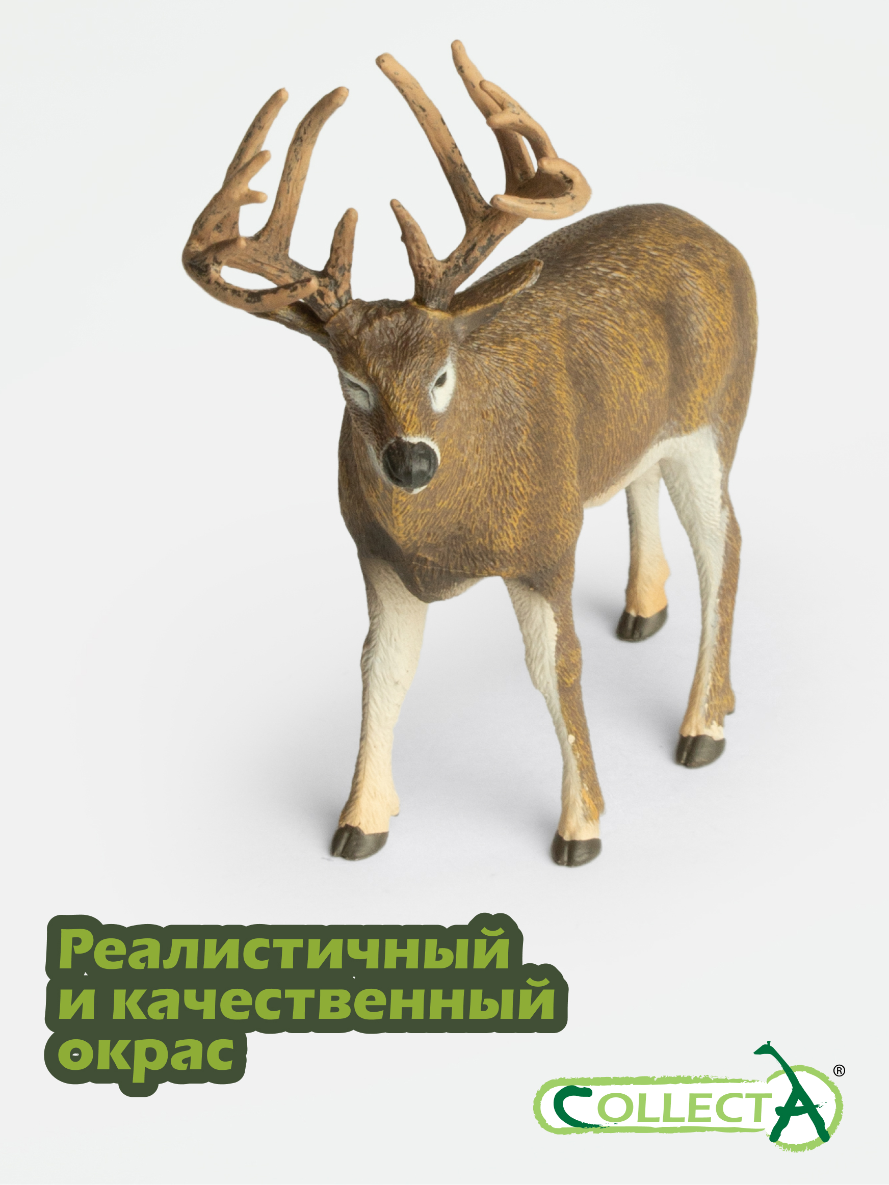 Фигурка Collecta Олень белохвостый - фото 4