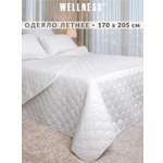 Одеяло Wellness летнее 172 x 205 см